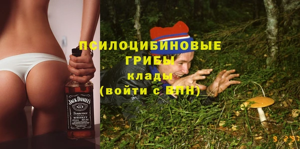 стаф Нея