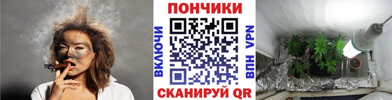 цены Бежецк МАРИХУАНА THC 21%